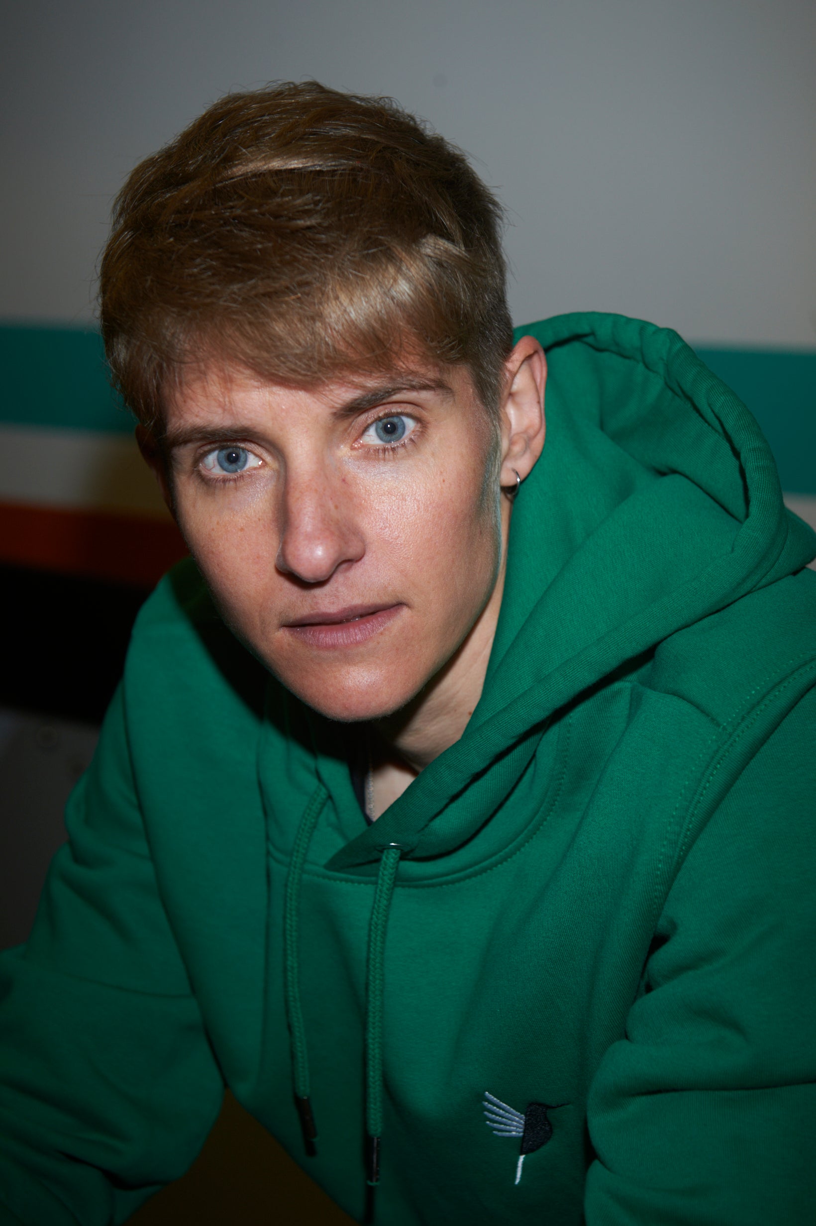 Hoodie brodé vert