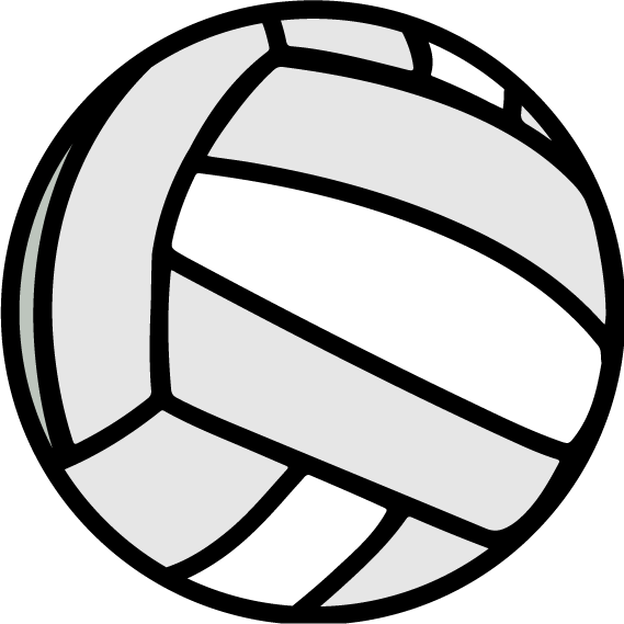 VOLLEY-BALL