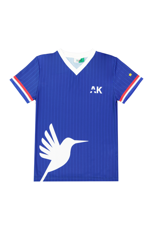 Maillot Collector EURO 2020