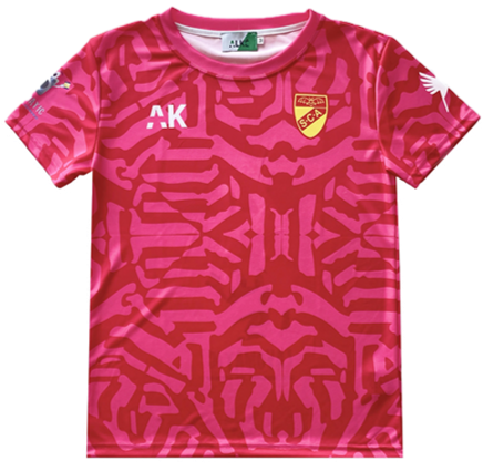 Collaboration Jersey